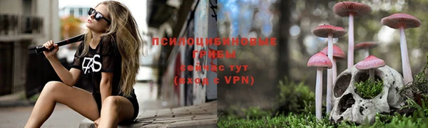 индика Алексин