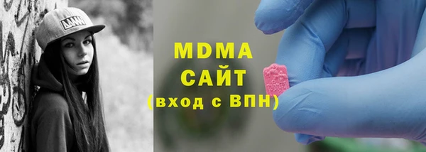 индика Алексин
