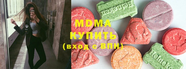 индика Алексин