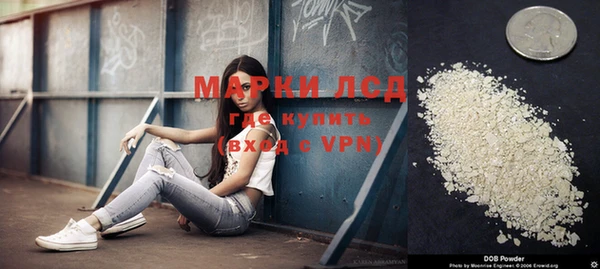индика Алексин