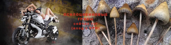 каннабис Абаза