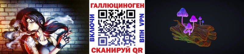 Псилоцибиновые грибы Cubensis  даркнет состав  Почеп 